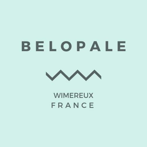 Belopale @ Residence La Belle Epoque Wimereux Dış mekan fotoğraf